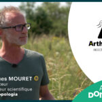 Photo d'Hugues Mouret pour la présentation vidéo d'Arthropologia sur le site Domorrow